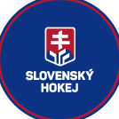 Slovenský hokej